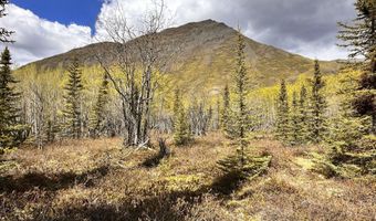 B005 Packsaddle Road, Chickaloon, AK 99674