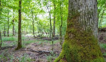 1 Camino Rd, Hot Springs Village, AR 71909