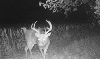 00000 CR 140, Alexander, KS 67513