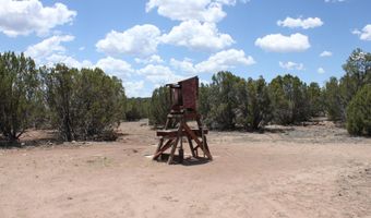 N8190, Concho, AZ 85924