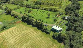 29-2612 KAIWIKI HOMESTEAD Rd, Hakalau, HI 96710