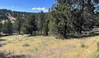 639 Pheasant Dr, Alturas, CA 96101