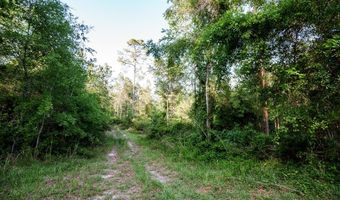 0 DM TILLMAN, Baxley, GA 31563