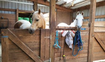 25140 S DIANNE Dr, Beavercreek, OR 97004
