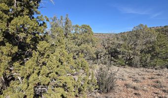 446 Arizona Rd, Ash Fork, AZ 86320