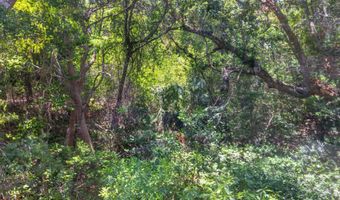 6 Clapper Rail Ct, Bald Head Island, NC 28461