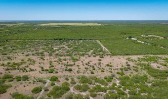 FM 735, Alice, TX 78332