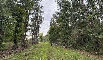 La Highway 442, Albany, LA 70711