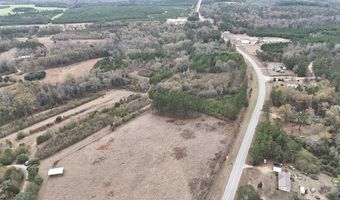 13962 State Highway 95 N, Abbeville, AL 36310
