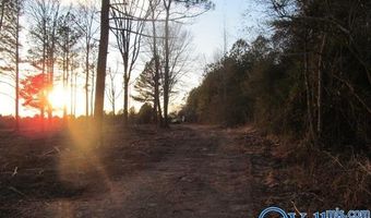 3 Razorback Way, Albertville, AL 35951