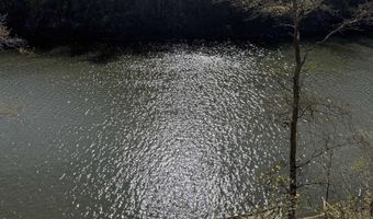 County Road 3782 lot 11, Arley, AL 35541