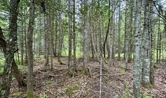 M5 L27-3 Marks Road, Albion, ME 04910