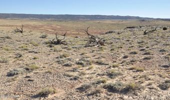 986 Concho Hwy, Concho, AZ 85924