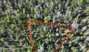 Pisgah Court, Alford, FL 32420