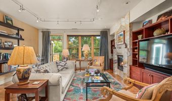 227 Midland Ave 22, Basalt, CO 81621