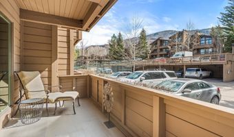 610 S West End St K102, Aspen, CO 81611