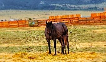 2733 Mt Highway 69, Boulder, MT 59632