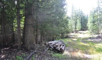 Nna 196 Acres Hwy 95, Bonners Ferry, ID 83805