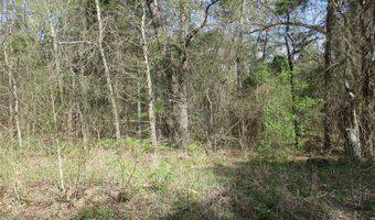 County Road 2958, Alba, TX 75410