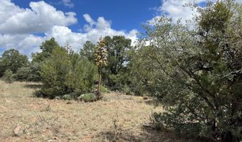415 XYZ, Arenas Valley, NM 88022
