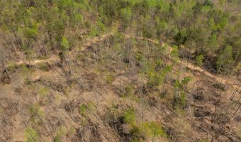 Martha Stockton Road, Albany, KY 42602