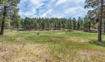 699 Beaver Creek Dr, Bayfield, CO 81122