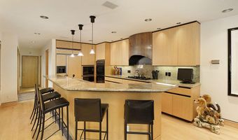 530 W Francis St, Aspen, CO 81611
