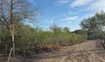 0 E St. Jude Ave, Alton, TX 78573