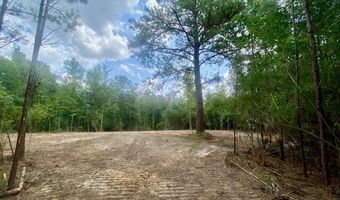 SE Lee Drive, Bogue Chitto, MS 39629