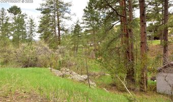 9017 Pine Ave, Beulah, CO 81023