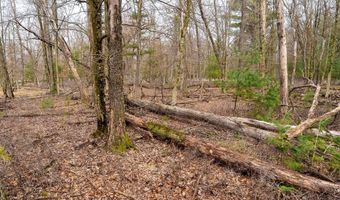 Dover Drive lot 1 14 Ac, Adams, WI 53910