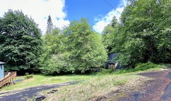 71529 FISHHAWK Rd, Birkenfeld, OR 97016