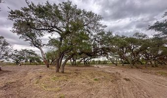 2555 Jocelyn Rd, Aransas Pass, TX 78336