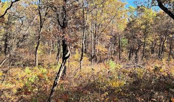 10 Acres County Road C, Arkdale, WI 54613