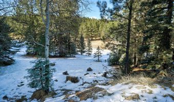 Lot 26 San Andres Terrace, Angel Fire, NM 87710