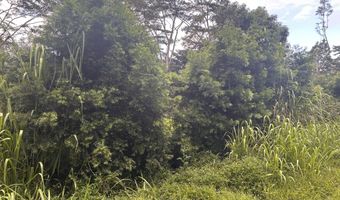 RAILRD RD, Keaau, HI 96749