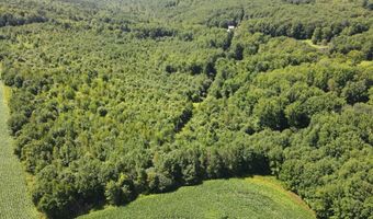 1608 Braintree Hill Rd, Braintree, VT 05060