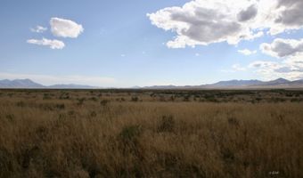 40 Acres N, Crescent Valley, NV 89821