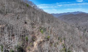 99999 Green Ridge Falls Rd 17, Barnardsville, NC 28709