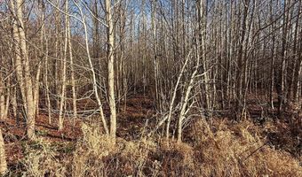 BLACK SWAMP ROAD, Felton, DE 19943