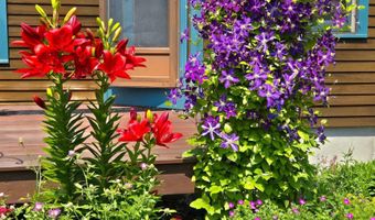 155 Hillwinds North Rd, Brattleboro, VT 05301