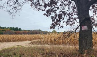 71 Acres Chicago Dr, Arkdale, WI 54613