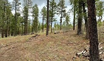 7 Eric Ln, Alpine, AZ 85920