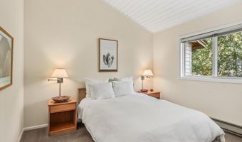1275 Snowbunny Ln 2, Aspen, CO 81611