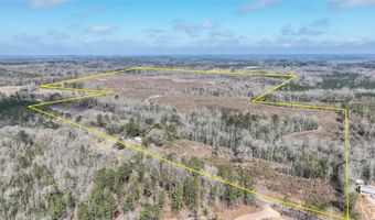 919 County Road 6628, Banks, AL 36005