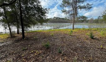 Lot 2 KEENE ROAD, Altoona, FL 32702