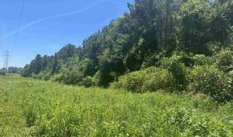HIGHWAY 431 lot 0, Alexandria, AL 36250