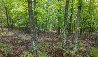 742 County Road 302, Alton, MO 65606