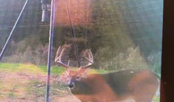 001 Farr Rd, Bolton, MS 39041