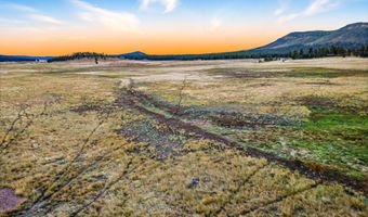 ALPINE UNSUBDIVIDE, Alpine, AZ 85920